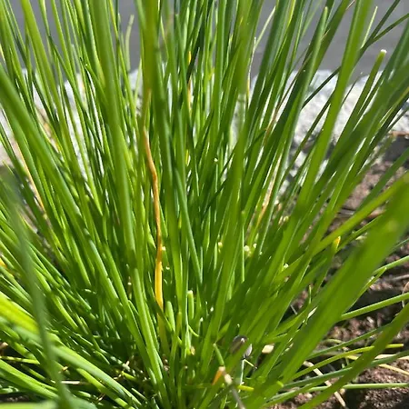 شقة Tigh Noor - Escape To Kinvara By The Sea! غالواي