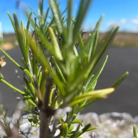 شقة Tigh Noor - Escape To Kinvara By The Sea!