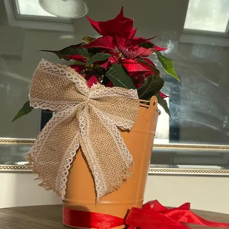 Tigh Noor - Escape To Kinvara By The Sea! شقة