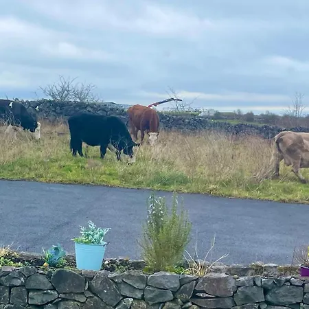 Tigh Noor - Escape To Kinvara By The Sea! *