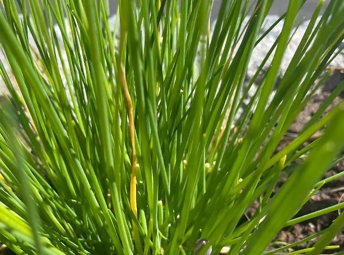 Appartamento Tigh Noor - Escape To Kinvara By The Sea! Galway