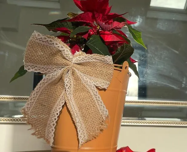 Tigh Noor - Escape To Kinvara By The Sea! Appartamento