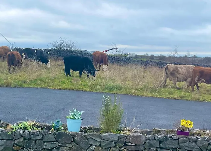 Tigh Noor - Escape To Kinvara By The Sea! *